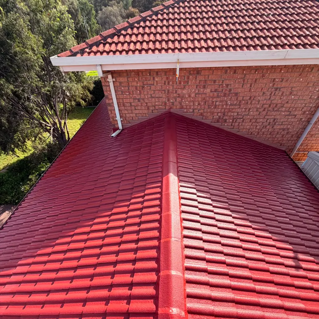 Common Roofing Problems in Aberfoyle Park